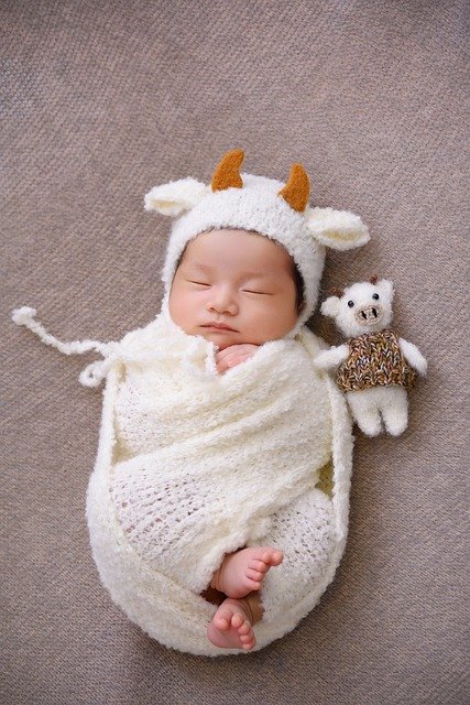 Asian female baby sleeping wrapped in a swaddle with a soft toy next to her